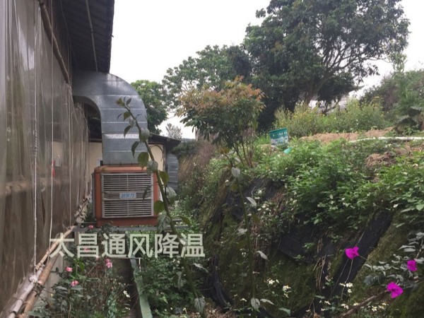 餐廳太熱？環(huán)?？照{(diào)為你送清風(fēng)